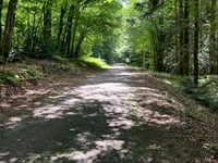 Col de l'Homme Mort von Chalaux