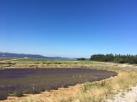 Col de l'Homme Mort von Ferrassières