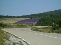 Col de l'Homme Mort von Ferrassières