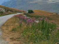 Colle dell'Iseran da Lanslebourg