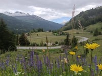 Colle dell'Iseran da Lanslebourg