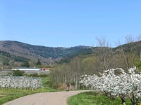 Col de l'Oeillon von Malleval