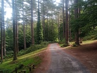 Col de l'Uliat / Pic Neoulous from Le Perthus