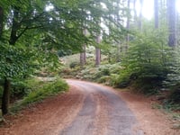 Col de l'Uliat / Pic Neoulous from Le Perthus