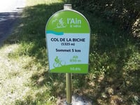 Col de la Biche desde Artemare