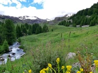 Colle della Bonette