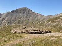 Cime de la Bonette from Saint-Étienne-de-Tinée