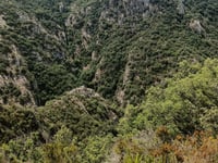 Col de la Brousse von Céret