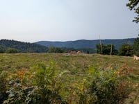 Col de la Burotte von Thiéfosse