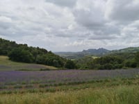 Col de la Chaine von Malaucène