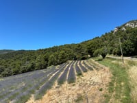 Col de la Chaine da Suzette