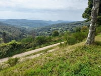 Col de la Charbonnière from Col de Steige