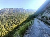 Chartreuse de Currière von Saint Laurent du Pont