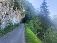 Chartreuse de Currière von Saint Laurent du Pont