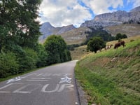 Col de la Colombière