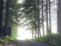 Col de la Croix d'Ajoux von Chenelette