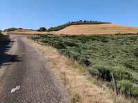 Col de la Croix de Ferrieres z Saint Pierreville