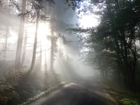 Col de la Croix de Montmain von Cluny