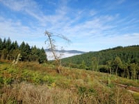 Col de la Croix de Montmain von Cluny