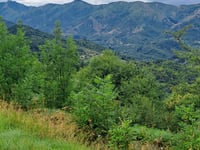 Col de la Croix Millet von Jaujac