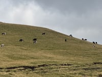 Col de la Croix Morand from Lac Chambon
