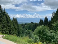 Col de la Faucille