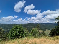 Col de la Faucille