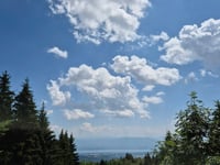 Col de la Faucille