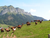 Col de la Forclaz de Montmin