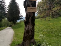 Col de La Forclaz da Queige via Col de Montessuit