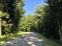 Col de la Joux