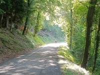 Col de la Joux