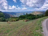 Col de la Joux
