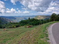 Col de la Joux