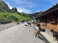 Col de la Joux Verte / Avoriaz von Montriond