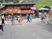 Col de la Joux Verte / Avoriaz von Morzine