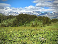 Col de la Lézette von Col des Saisies
