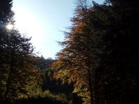 Col de la Loge des Gardes von Le Moulin Gitenay