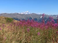 Col de la Loze von Méribel