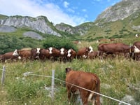 Col de la Madeleine von Feissons-sur-Isère
