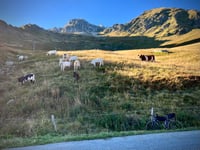 Col de la Madeleine