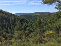 Col de la Madeleine von Malaucene