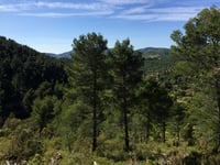 Col de la Madeleine von Malaucene