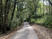 Col de la Réraille da Gémenos via Ancien Château de Saint Jean