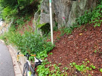 Col de la Schlucht