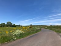 Col de la Soeur