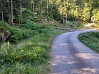 Col de la Vierge da Cornimont via Col du Bockloch