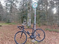 Col de la Vierge von La Bresse