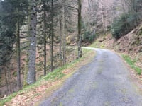 Col de la Vierge von La Bresse