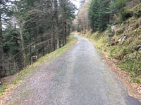 Col de la Vierge von La Bresse